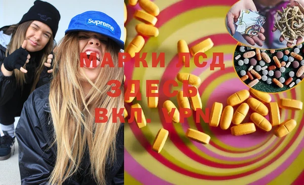 стаф Алексин