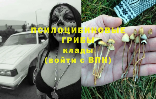 скорость Алзамай