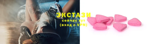 стаф Алексин